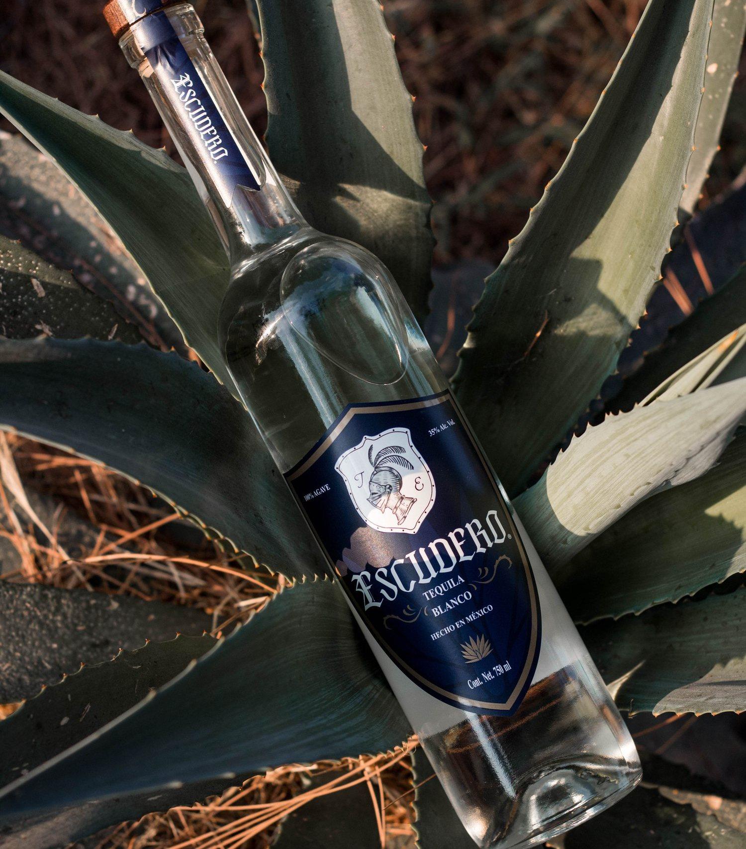 100% Blue Agave